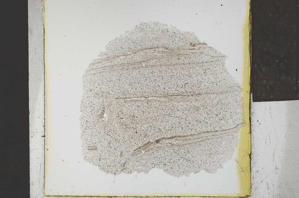 Plane Polarized, S24518