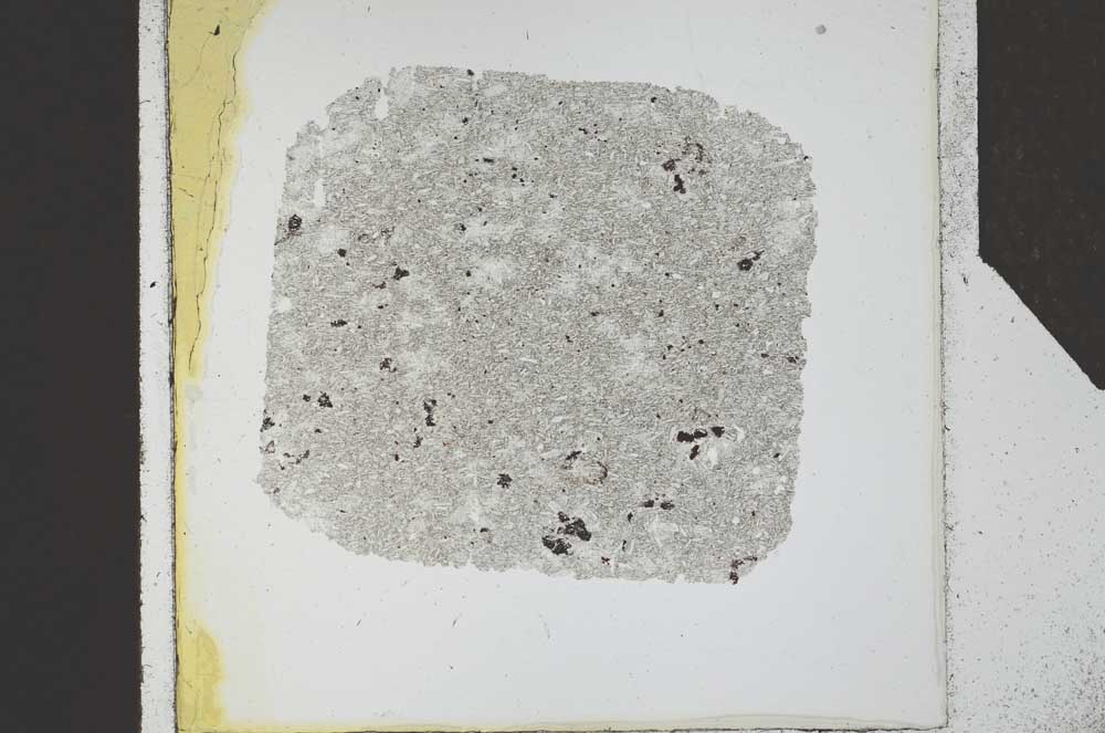 Plane Polarized, S24530