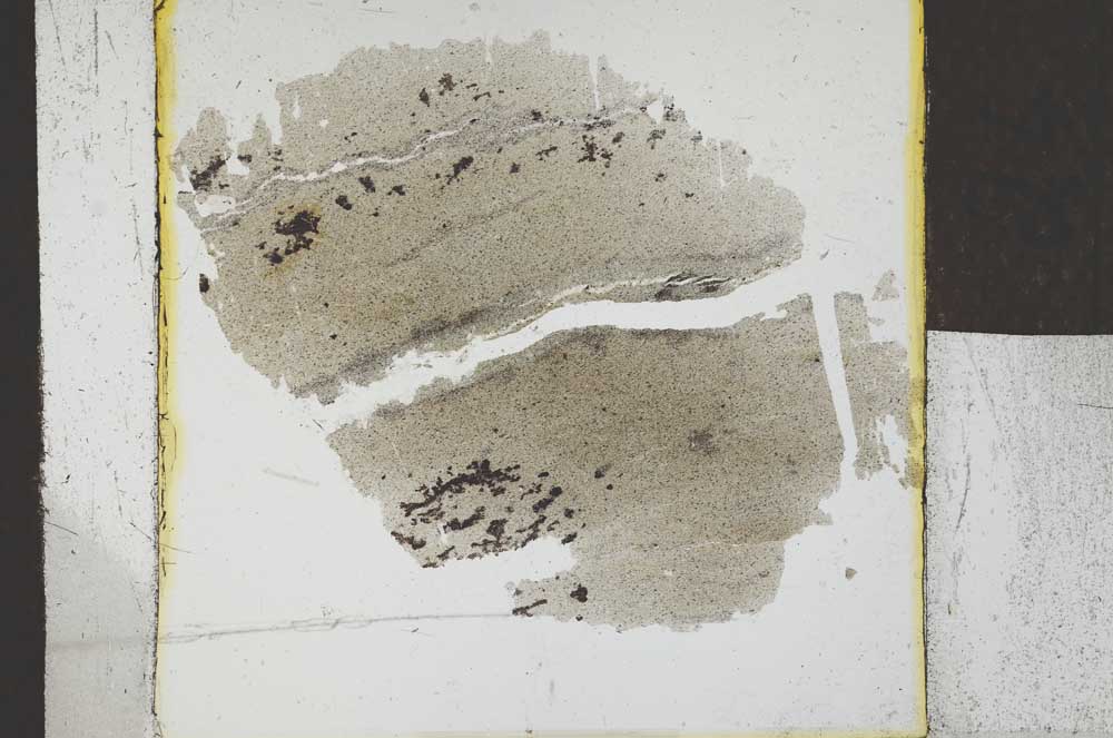 Plane Polarized, S24536