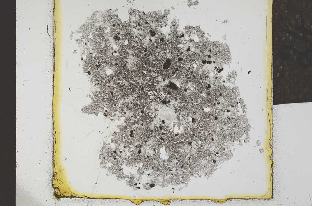 Plane Polarized, S24539