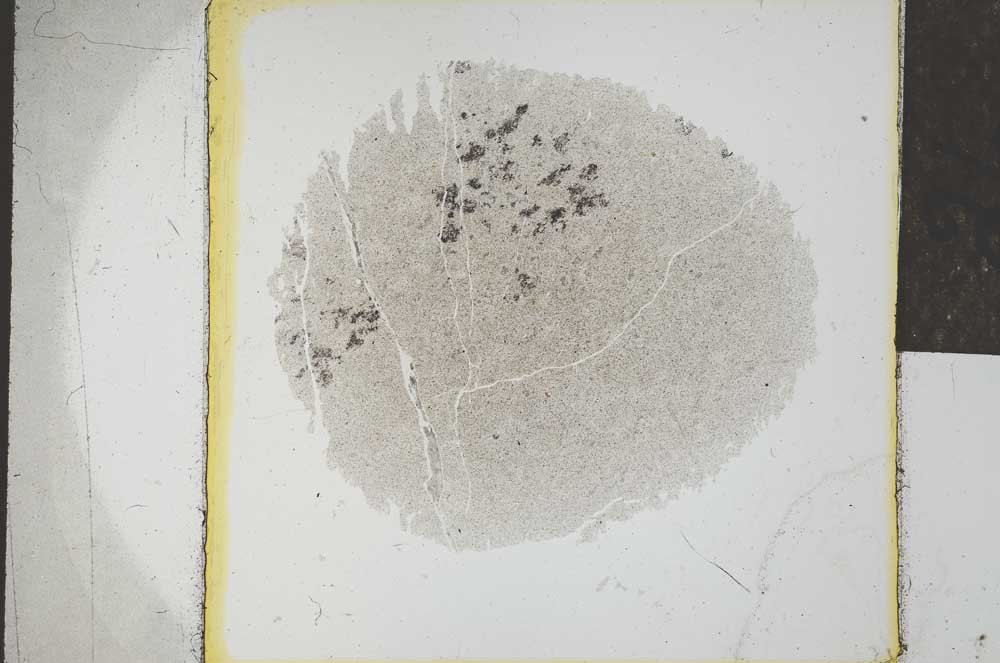 Plane Polarized, S24552