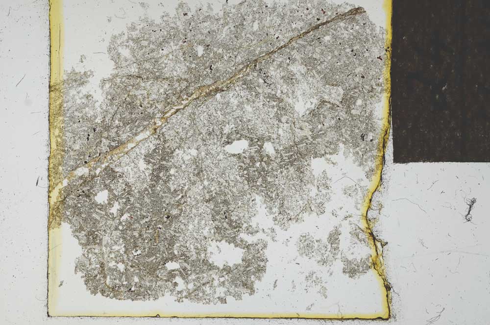 Plane Polarized, S24554