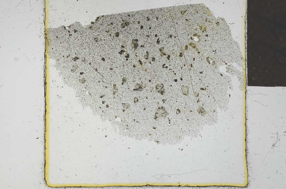 Plane Polarized, S24555