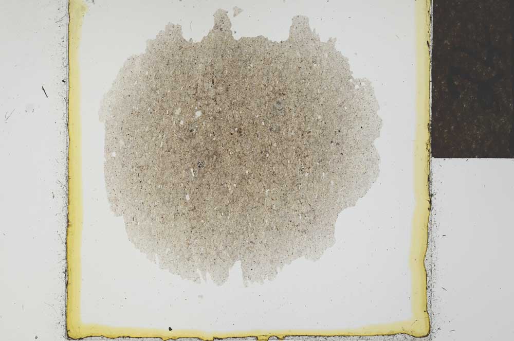 Plane Polarized, S24558