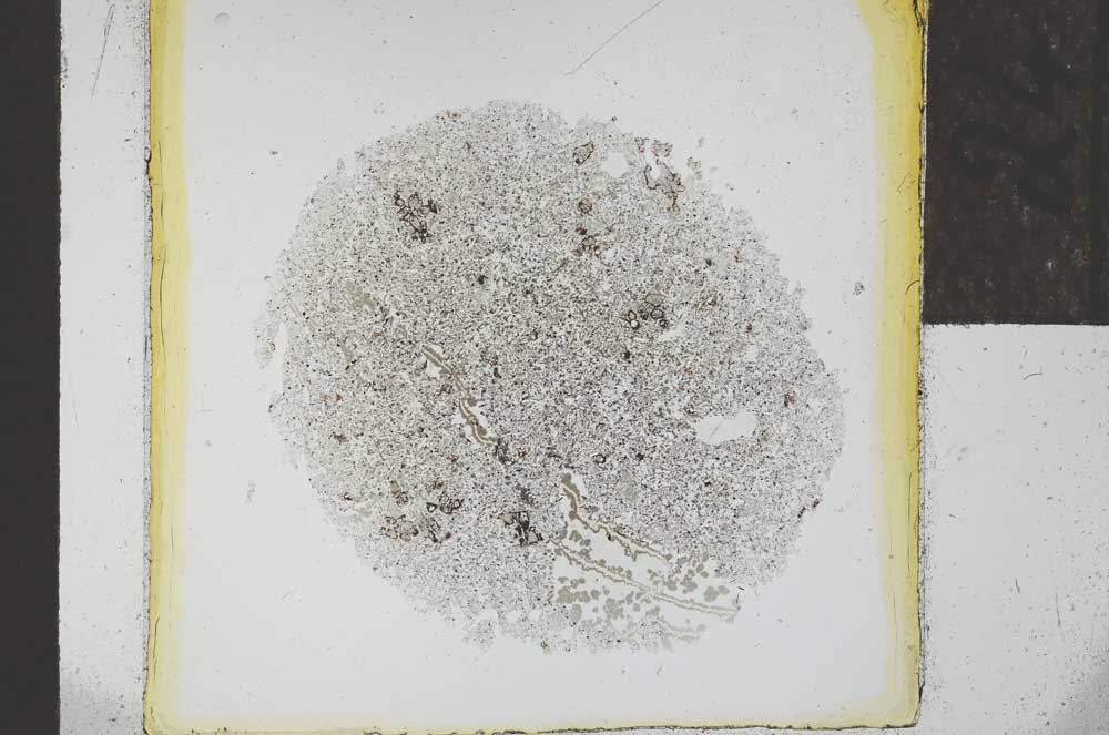 Plane Polarized, S24562