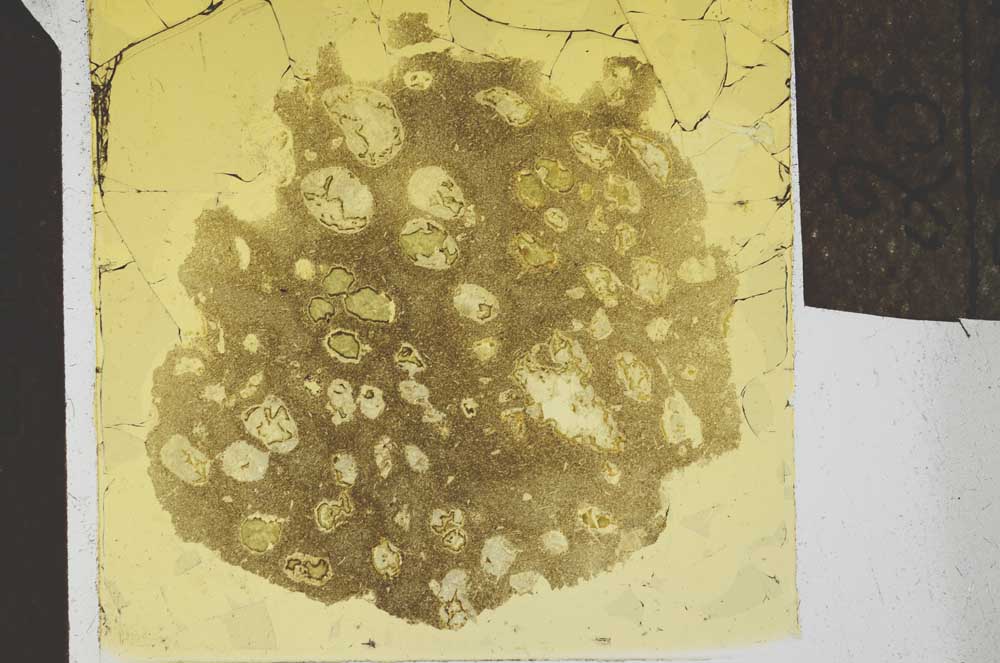Plane Polarized, S24574