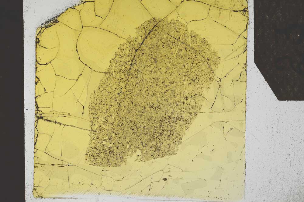 Plane Polarized, S24575