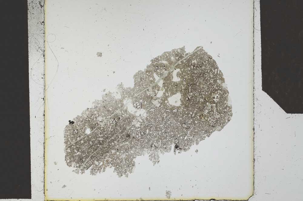 Plane Polarized, S24576