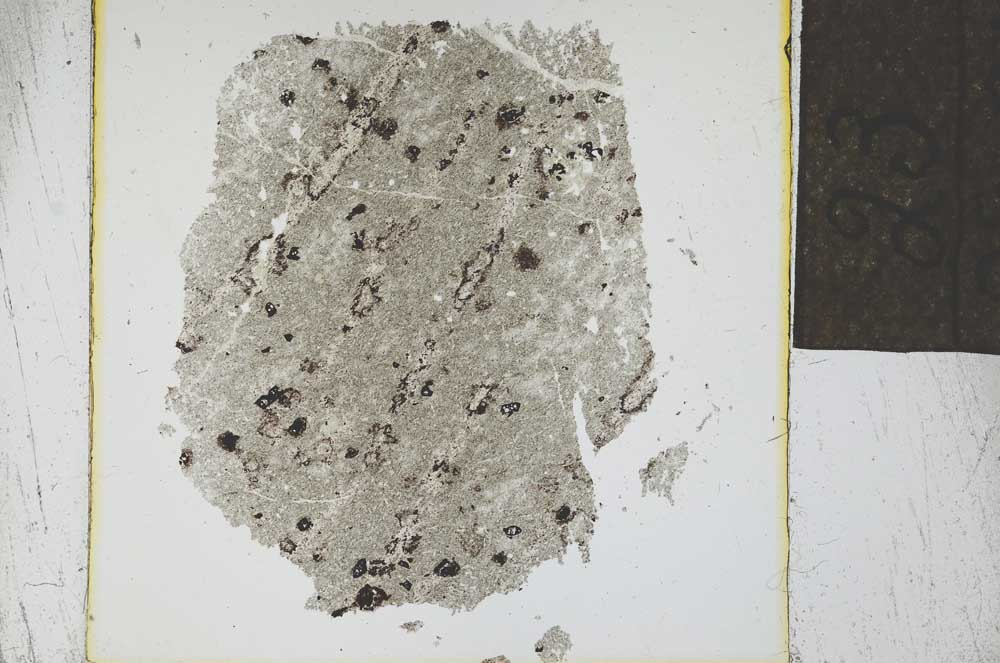 Plane Polarized, S24578