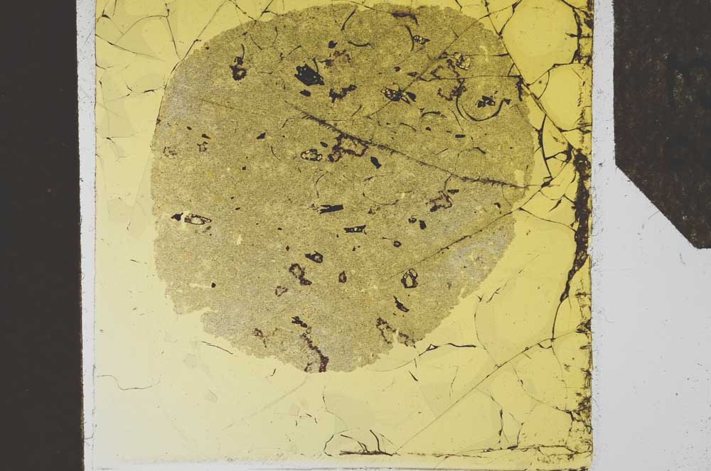 Plane Polarized, S24579