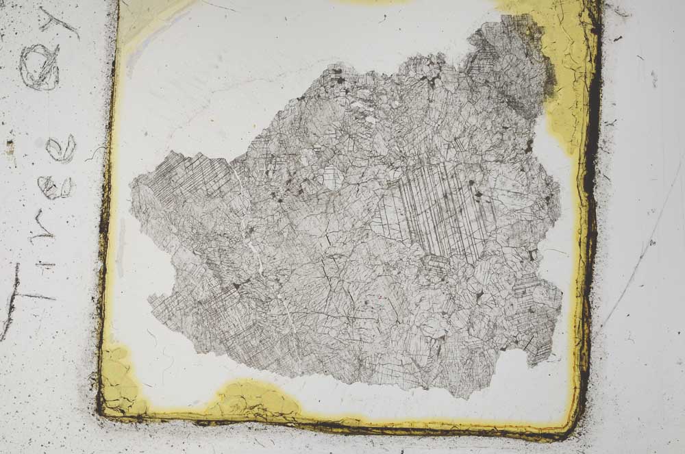Plane Polarized, S24582