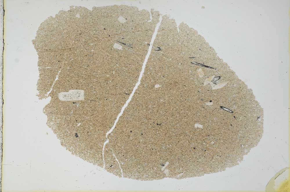 Plane Polarized, S24587/A