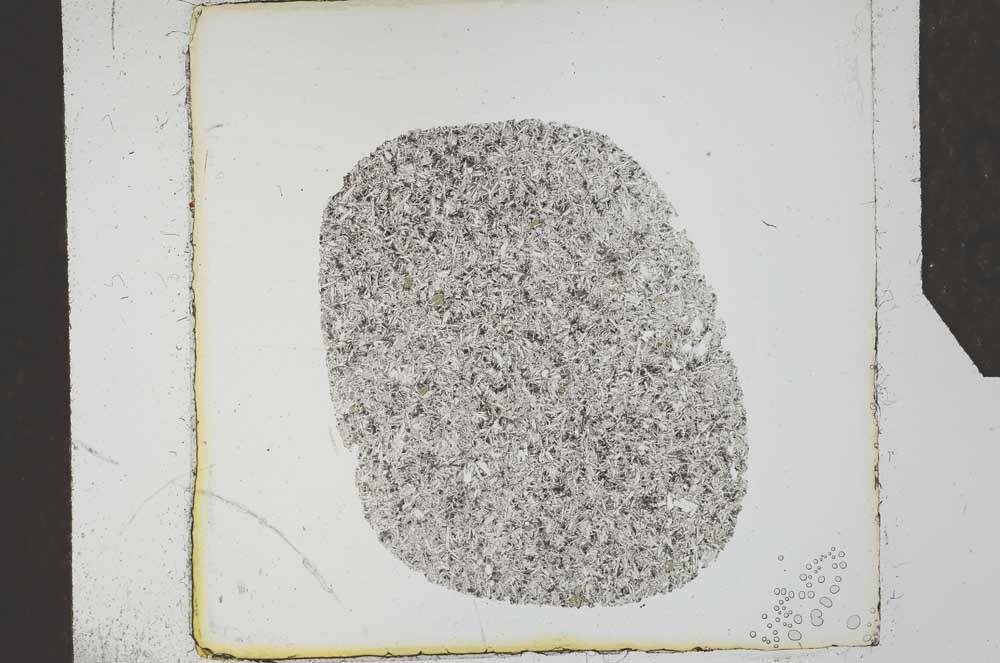 Plane Polarized, S24596