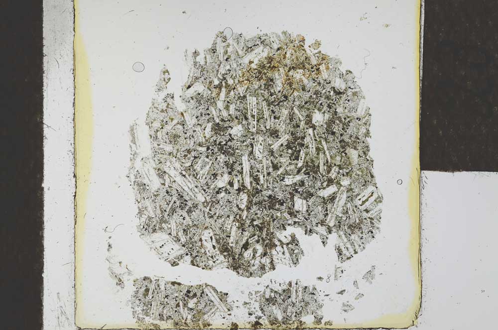 Plane Polarized, S24613