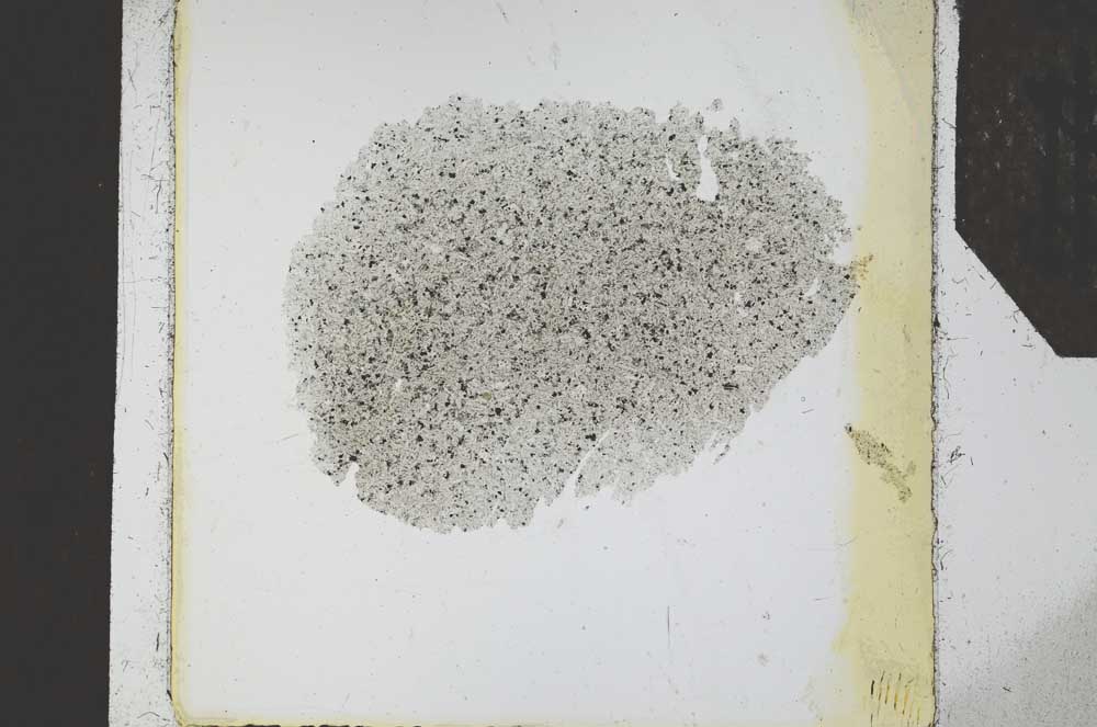 Plane Polarized, S24642