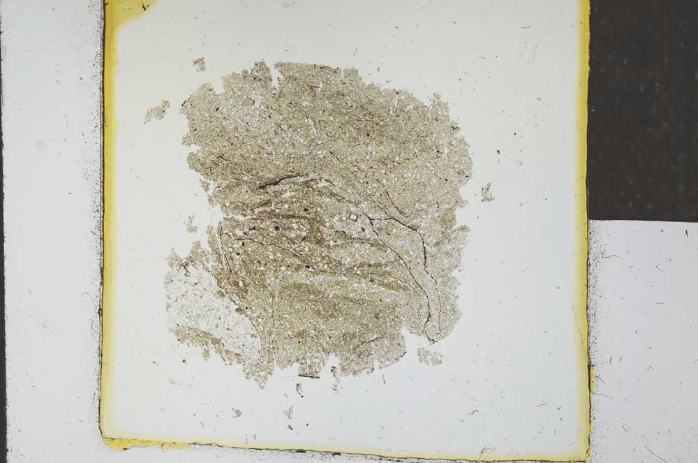 Plane Polarized, S24670