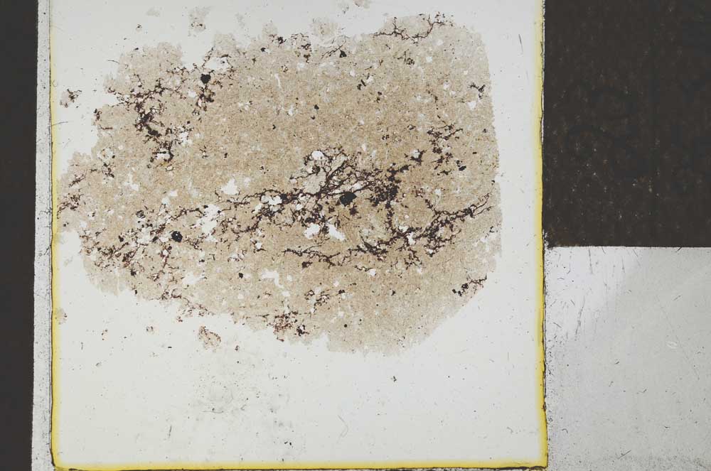 Plane Polarized, S24674