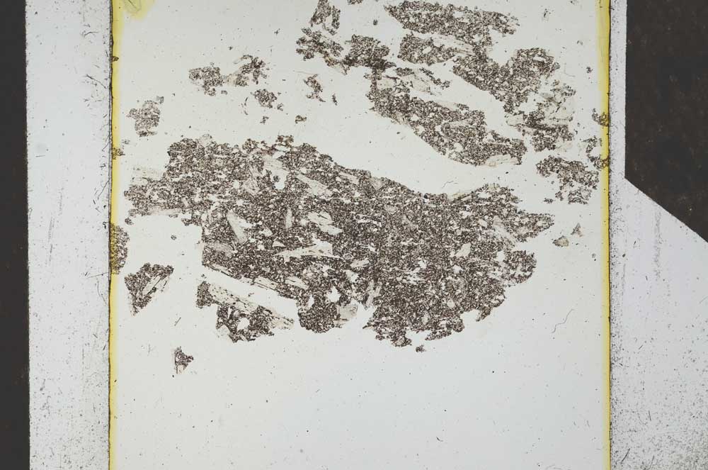 Plane Polarized, S24676