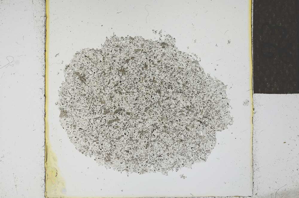 Plane Polarized, S24681