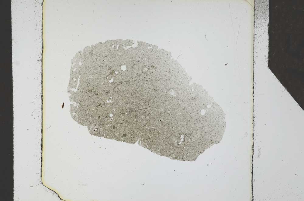 Plane Polarized, S24682