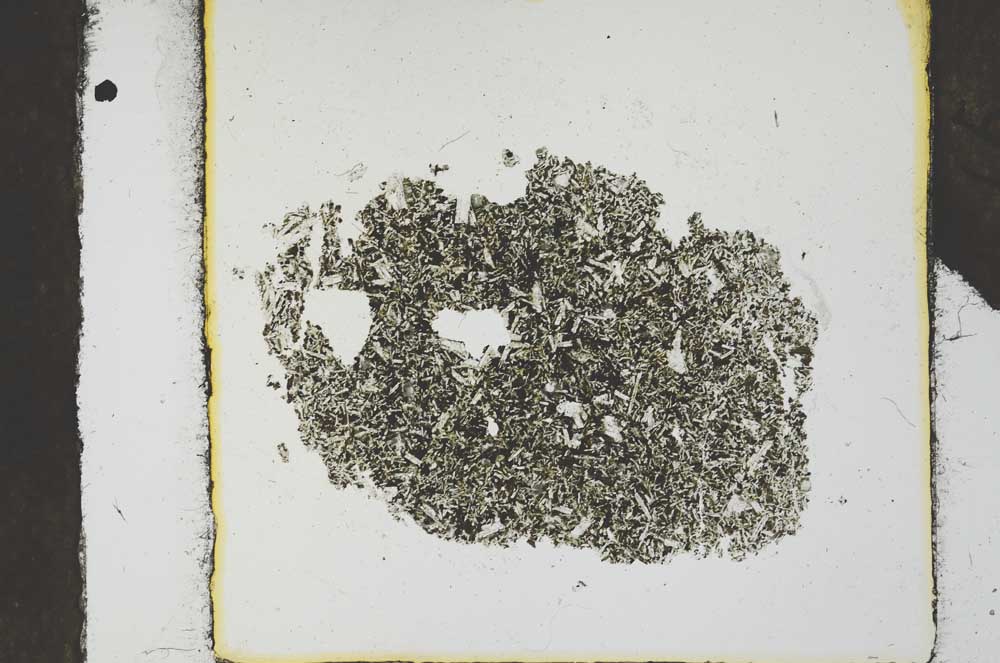 Plane Polarized, S24687