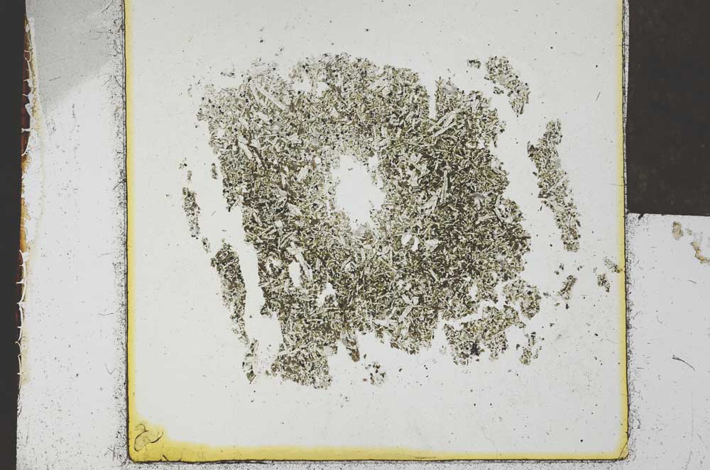 Plane Polarized, S24687/A
