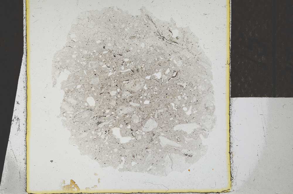 Plane Polarized, S24691