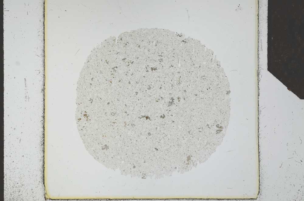 Plane Polarized, S24696