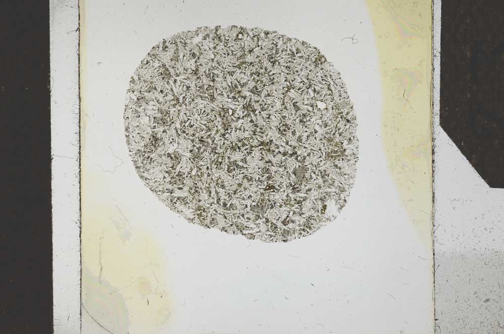 Plane Polarized, S24702