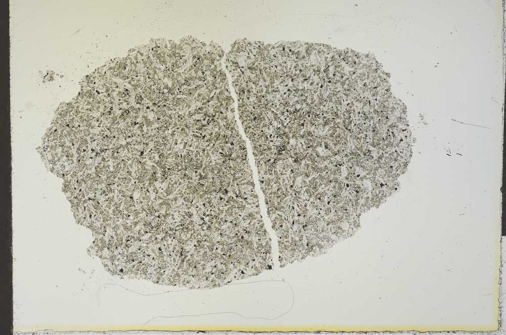 Plane Polarized, S24743