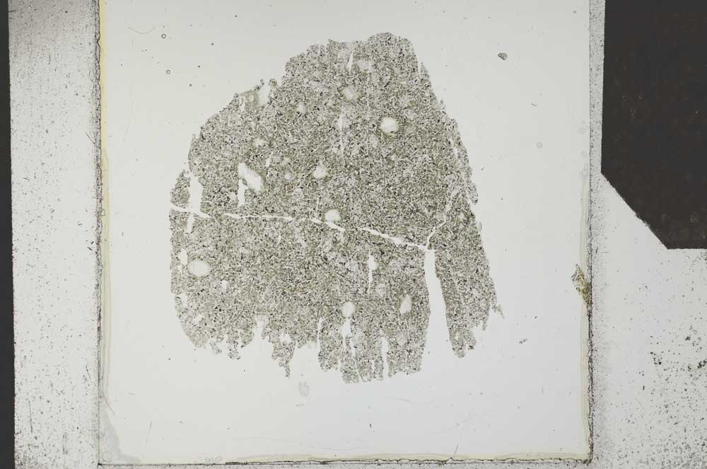 Plane Polarized, S24782