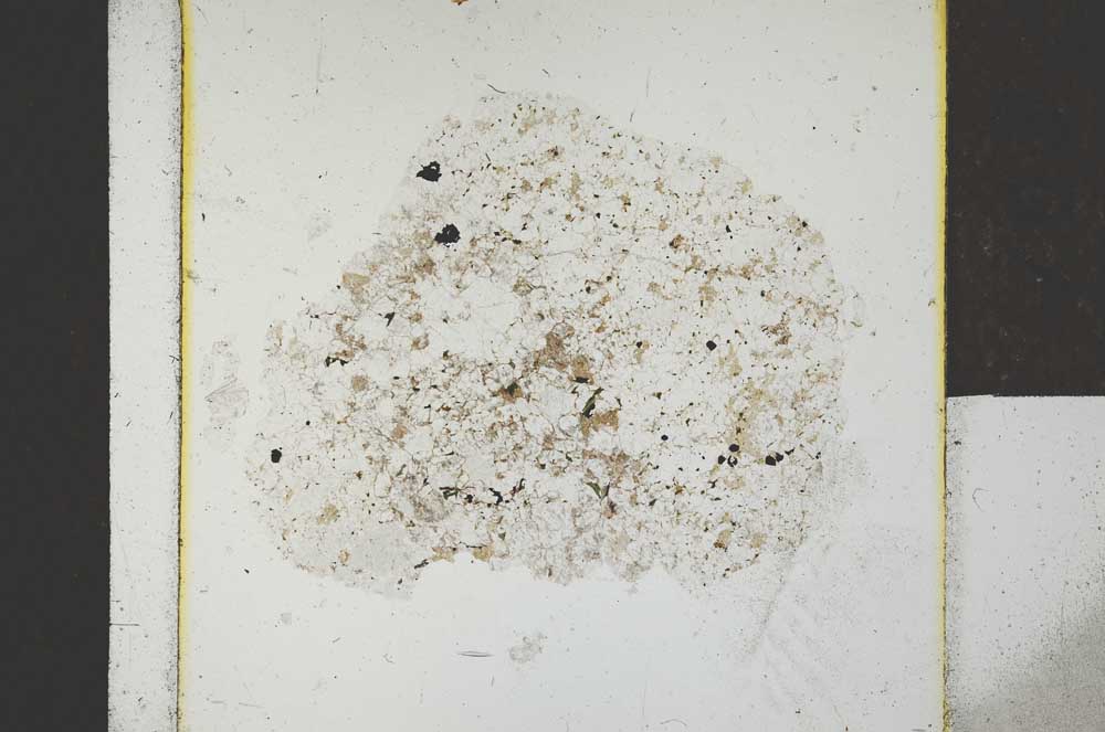 Plane Polarized, S24790