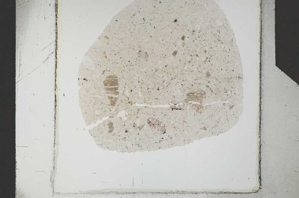 Plane Polarized, S24800