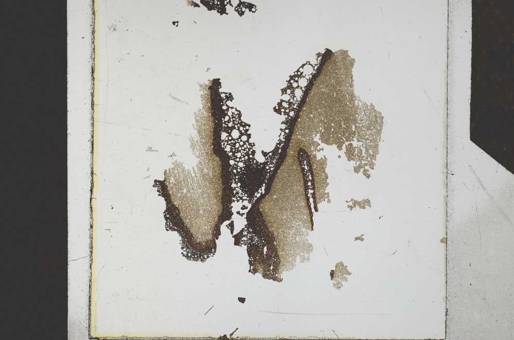 Plane Polarized, S24803