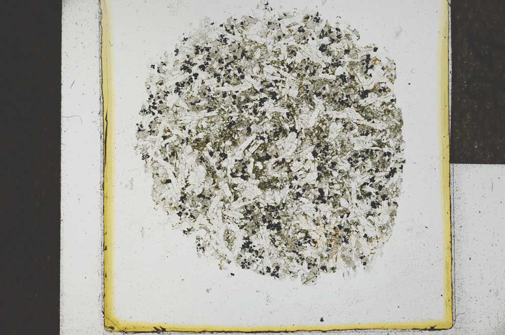 Plane Polarized, S24858