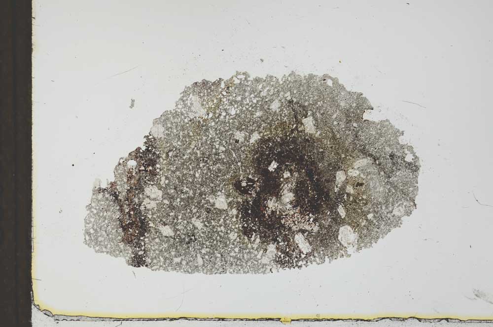 Plane Polarized, S24883