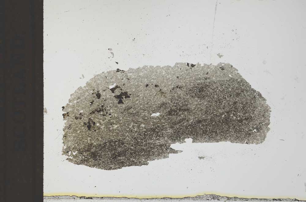 Plane Polarized, S24886