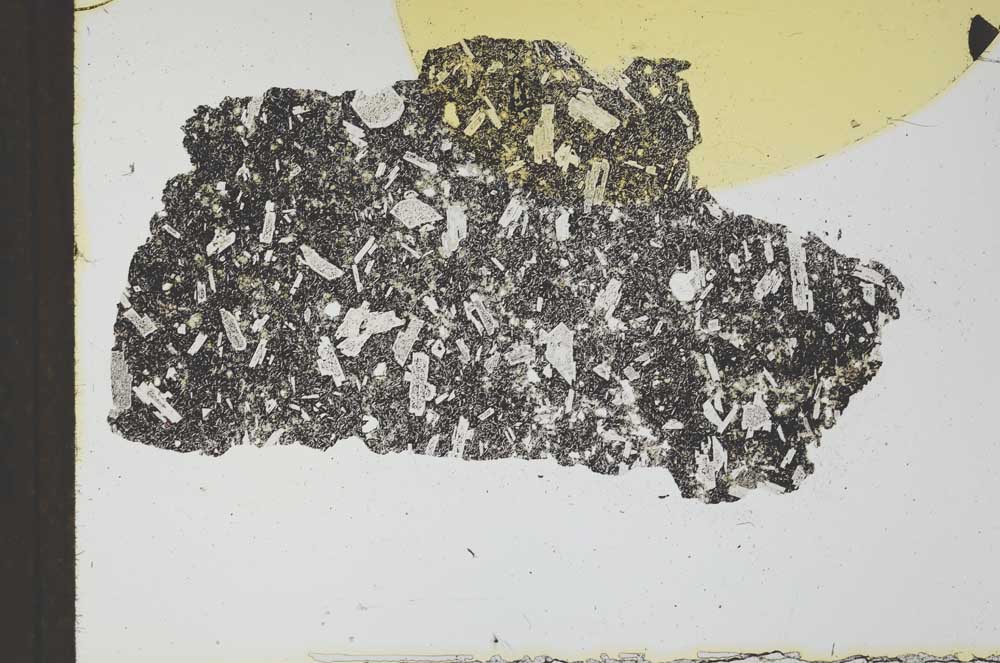 Plane Polarized, S24888
