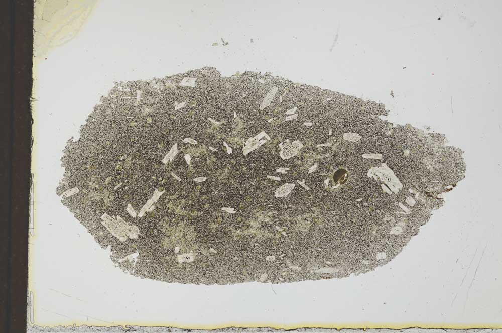 Plane Polarized, S24890