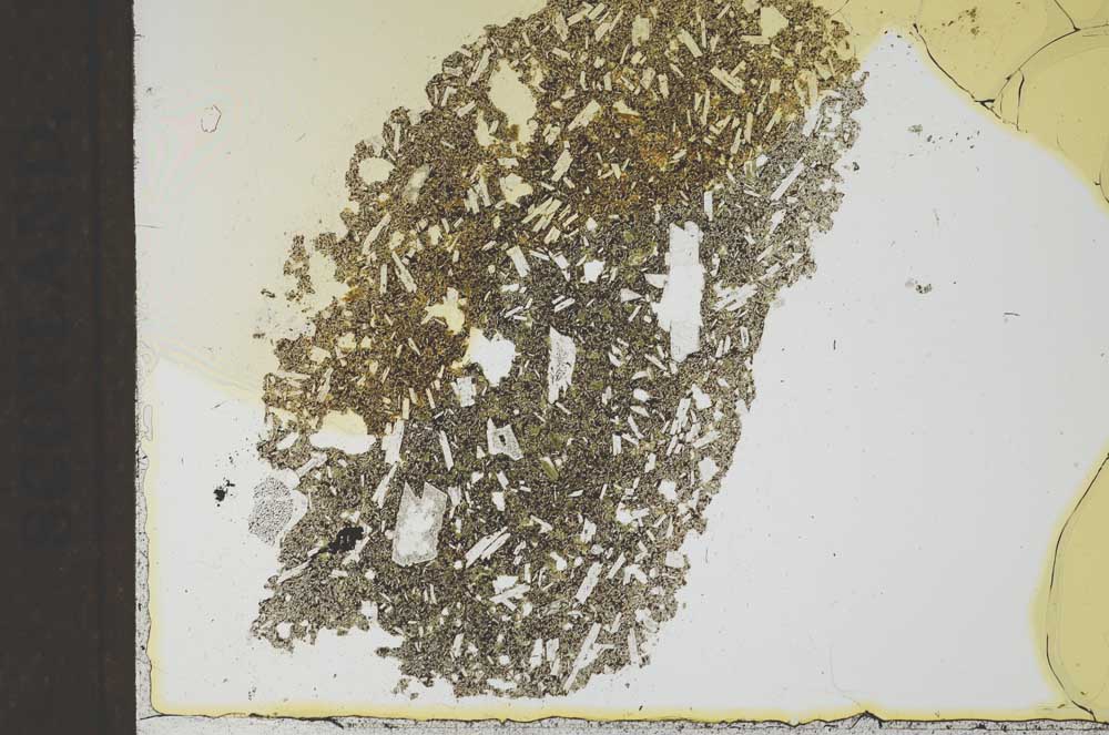 Plane Polarized, S24891