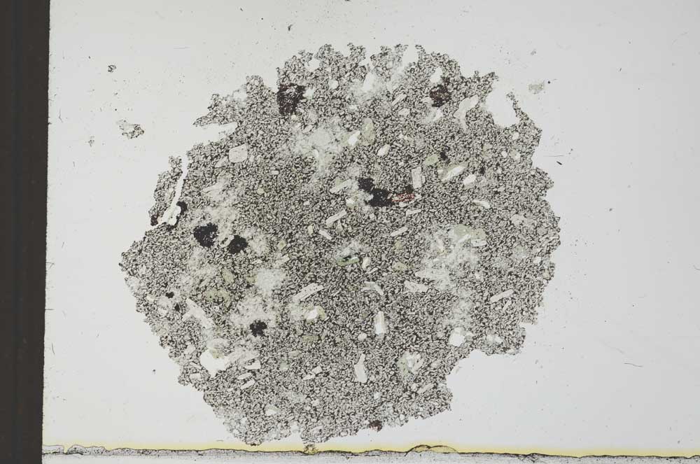Plane Polarized, S24892
