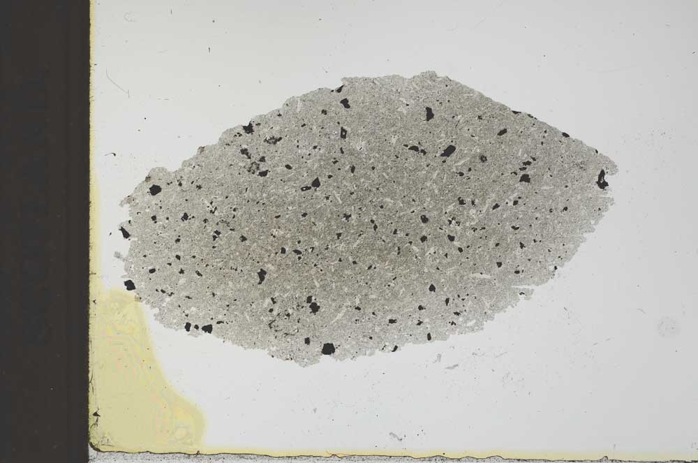 Plane Polarized, S24893