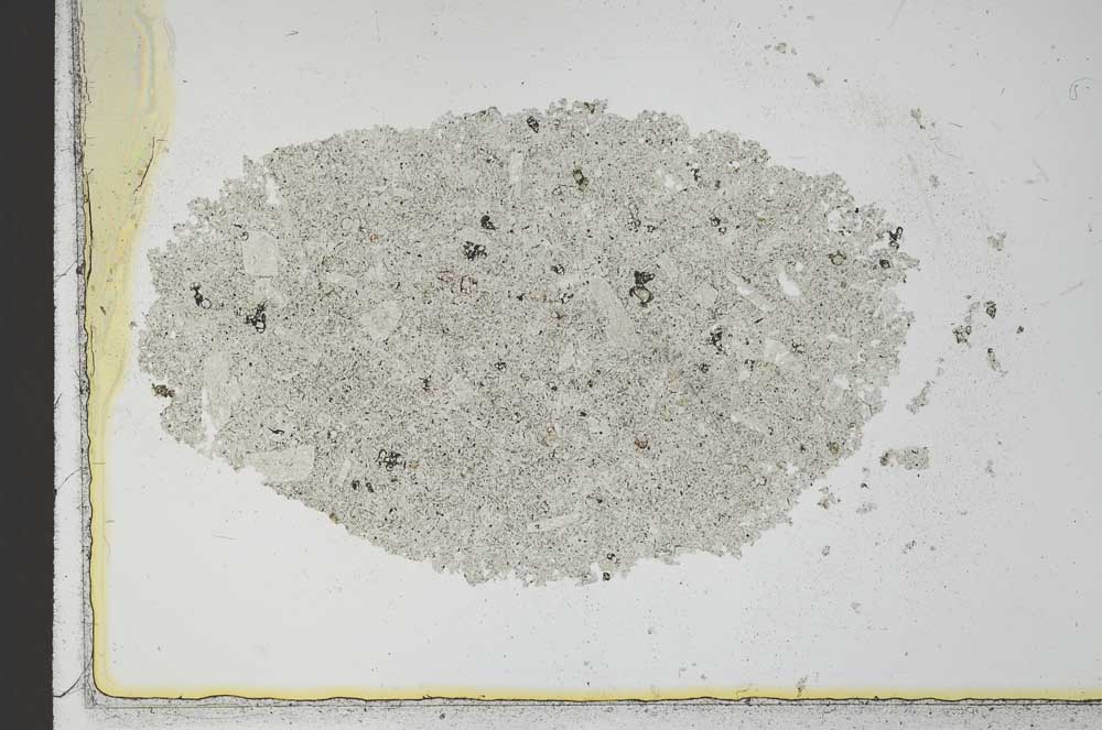 Plane Polarized, S24896