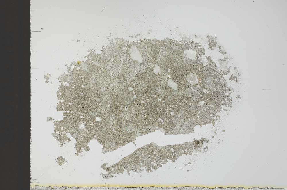 Plane Polarized, S24901