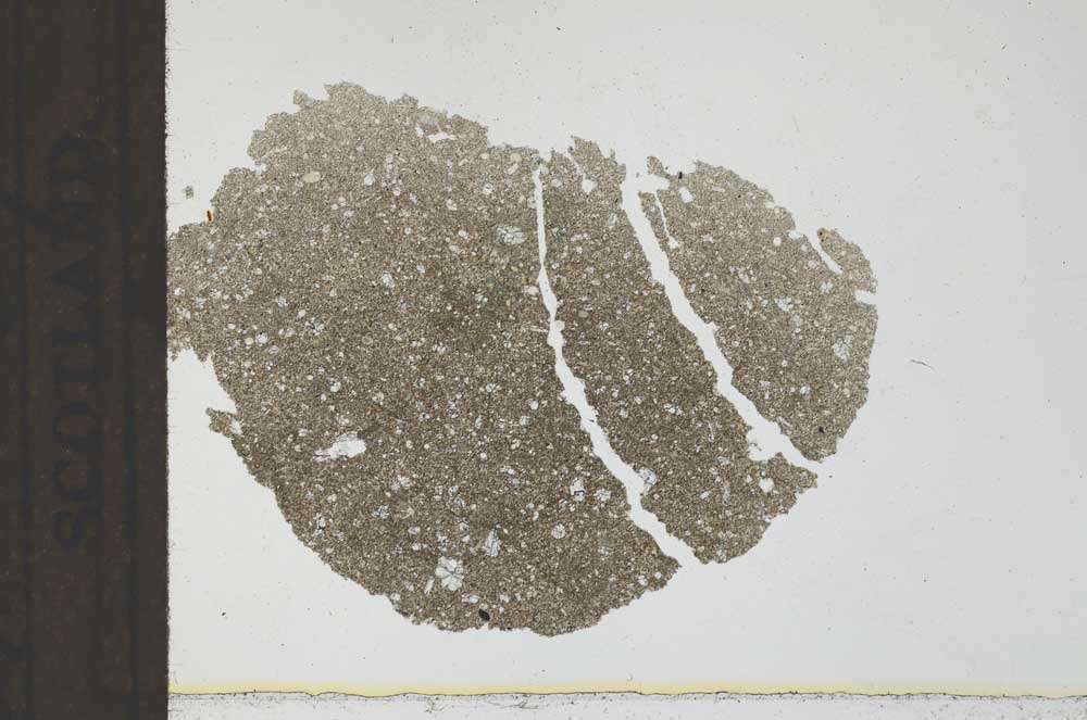 Plane Polarized, S24920