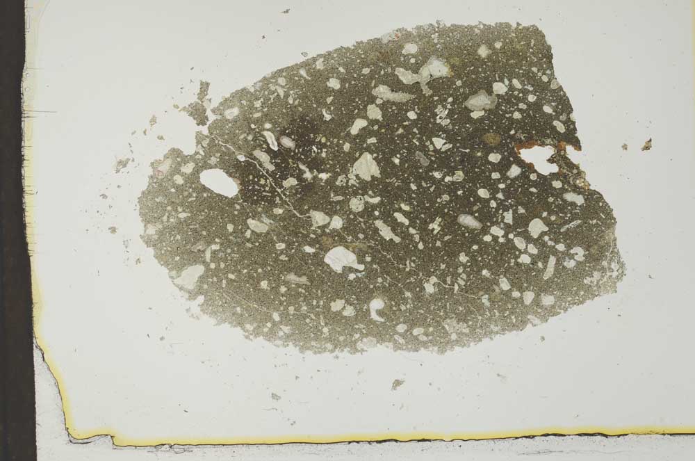 Plane Polarized, S24981