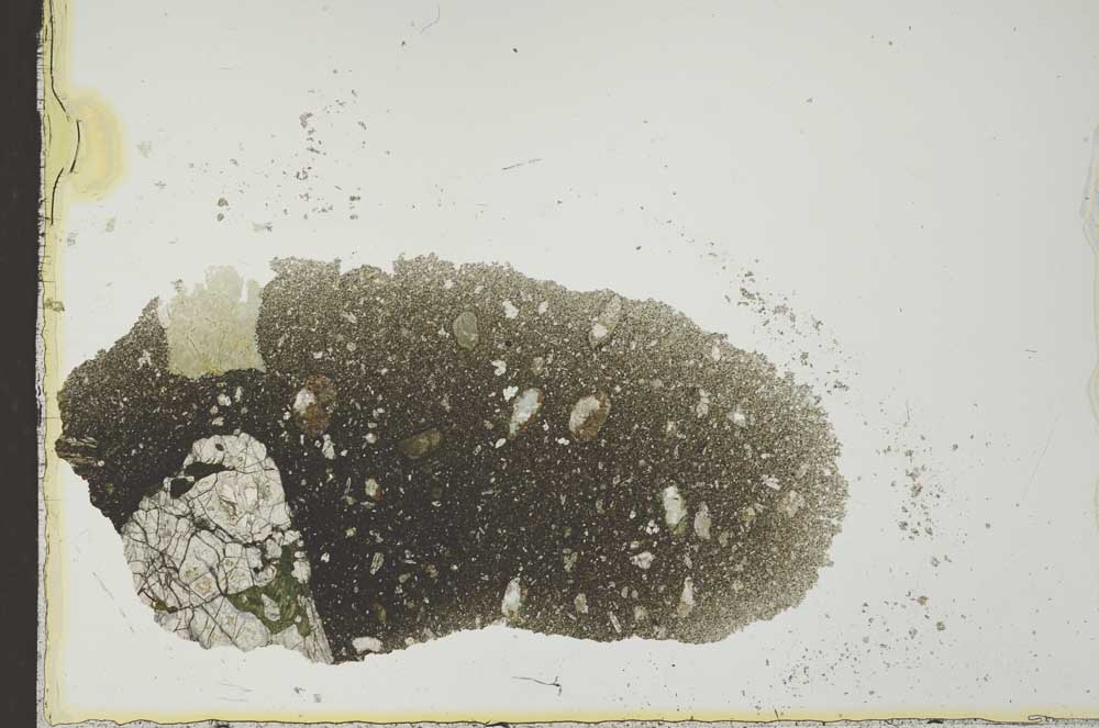 Plane Polarized, S24984