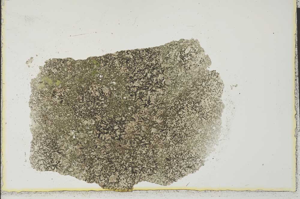 Plane Polarized, S24985
