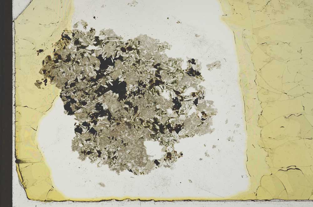 Plane Polarized, S24991