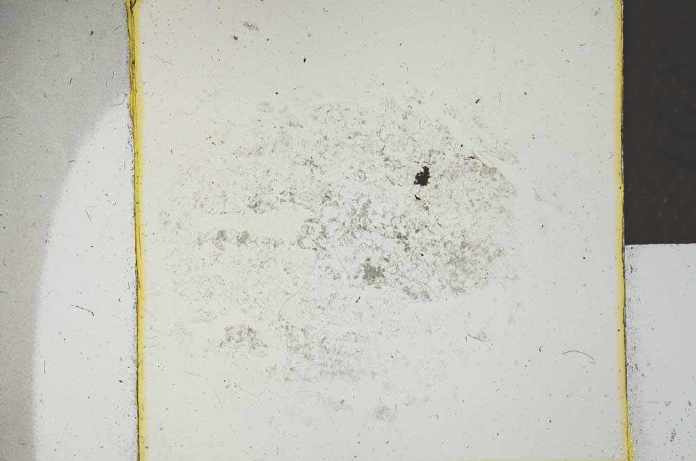 Plane Polarized, S25183